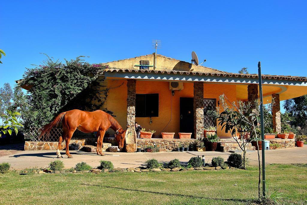 Agriturismo Monte Majore Siliqua Luaran gambar
